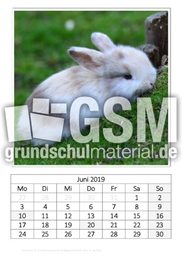 Juni_Kaninchen_2.pdf